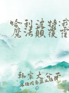 哈利波特:我的魔法颠覆霍格华兹完本