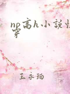 np高h小说快穿