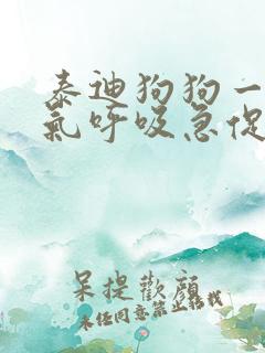 泰迪狗狗一直喘气呼吸急促