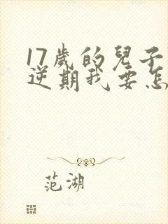 17岁的儿子叛逆期我要怎么办