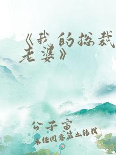 《我的总裁绝色老婆》