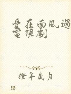 爱在南风过境时电视剧