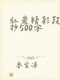 红岩精彩段落摘抄500字