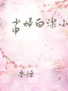 少妇白洁小说王申