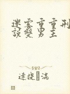 迷雾重重刑侦小说双男主
