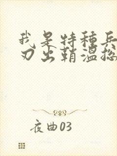 我是特种兵之利刃出鞘温总
