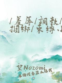 /羞辱/调教/捆绑/束缚小说