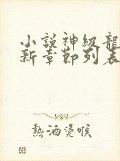 小说神级龙卫最新章节列表免费