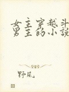 女主穿越斗罗无男主的小说