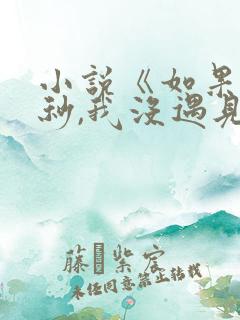 小说《如果这一秒,我没遇见你》