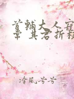 首辅大人宠妻日常 其君折枝