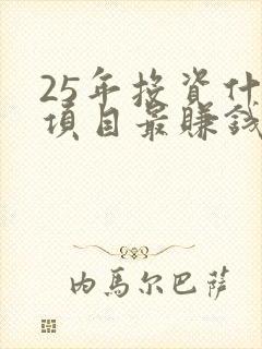 25年投资什么项目最赚钱