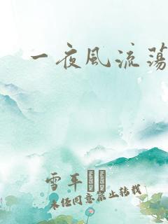 一夜风流荡少妇