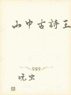 山中古诗王维