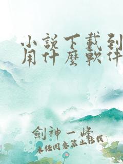 小说下载到本地用什么软件好