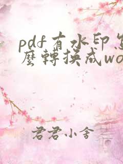 pdf有水印怎么转换成word