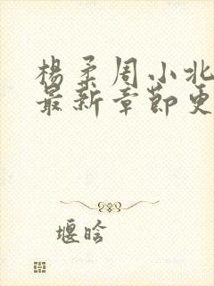 杨柔周小北小说最新章节更新时间
