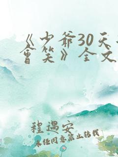《少爷30天后会笑》全文