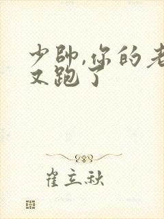少帅,你的老婆又跑了