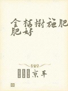 金桔树施肥什么肥好