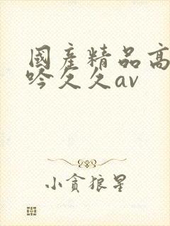 国产精品高潮呻吟久久av