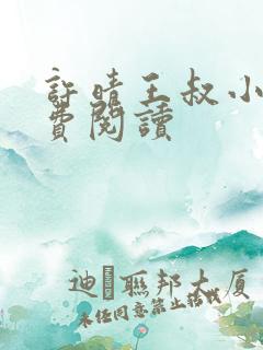 许晴王叔小说免费阅读