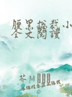 腹黑总裁小萌妻全文阅读