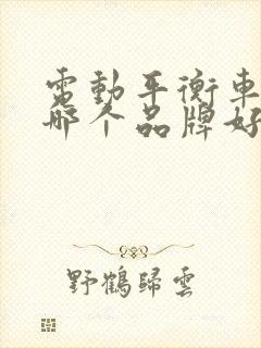 电动平衡车儿童哪个品牌好