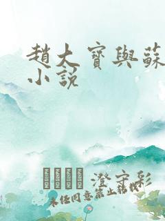 赵大宝与苏媚的小说