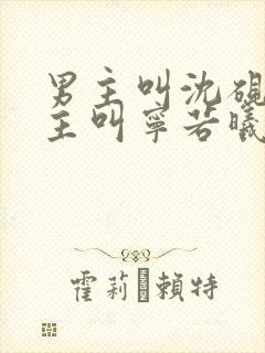 男主叫沈砚舟女主叫宁若曦的小说