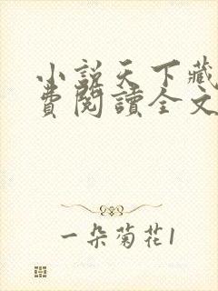 小说天下藏局免费阅读全文