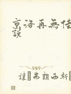 京洛再无佳人小说