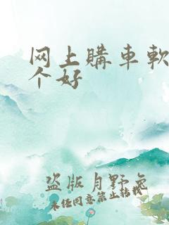 网上购车软件哪个好