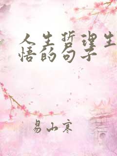 人生哲理生活感悟的句子