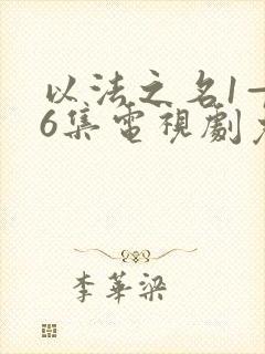 以法之名1—36集电视剧免费下载