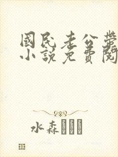 国民老公带回家小说免费阅读全文