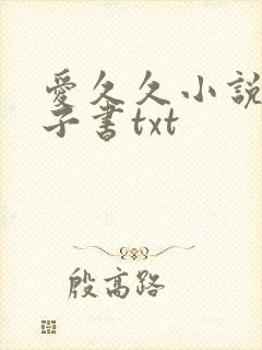 爱久久小说网电子书txt
