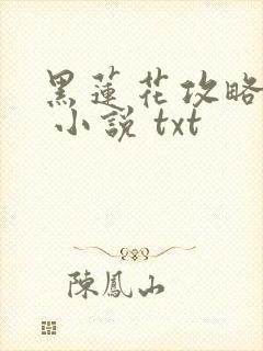 黑莲花攻略手册 小说 txt