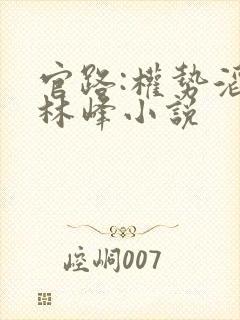 官路:权势滔天林峰小说
