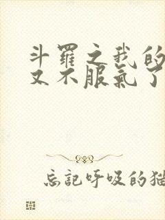 斗罗之我的系统又不服气了小说在线收听