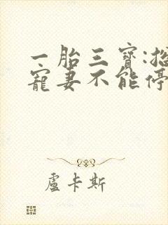 一胎三宝:总裁宠妻不能停