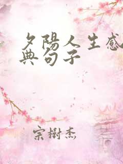 夕阳人生感悟经典句子