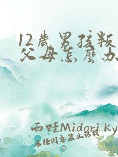 12岁男孩叛逆父母怎么办