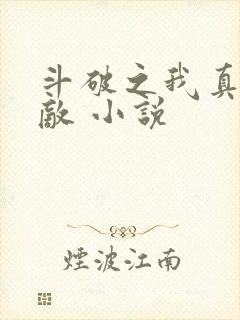 斗破之我真的无敌 小说
