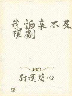 我怕来不及 电视剧