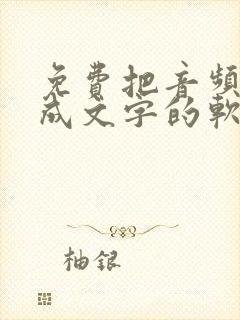免费把音频转换成文字的软件