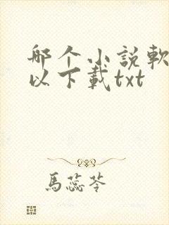 哪个小说软件可以下载txt