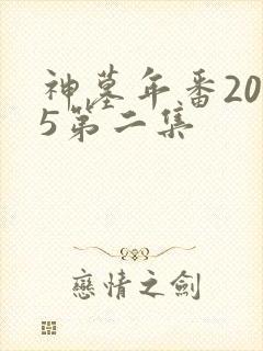 神墓年番2025第二集