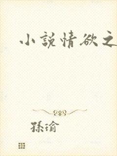 小说情欲之网