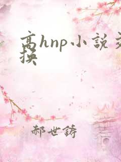 高hnp小说交换
